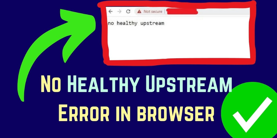 no healthy upstream