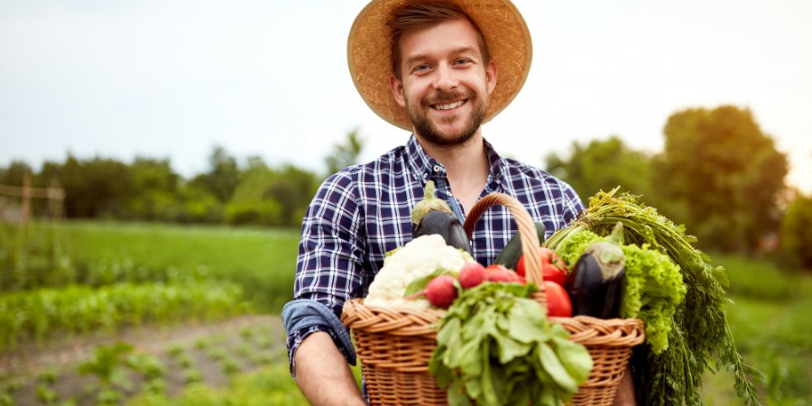 healthy harvest